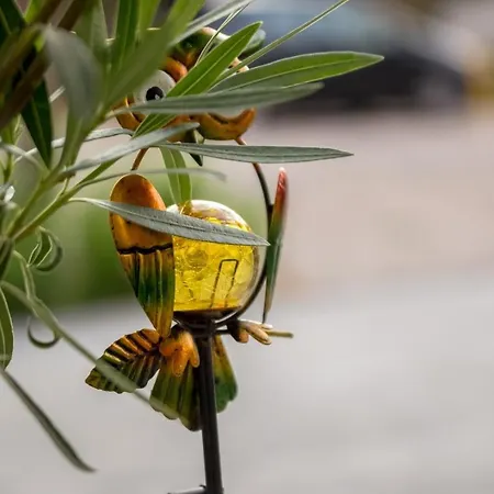 Tarari Luxury Lägenhet