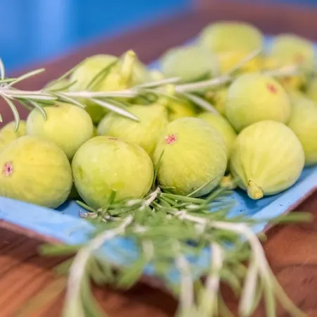 Tarari Luxury * Baška