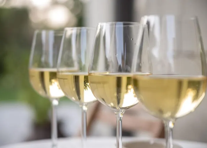 Tarari Luxury * باشْكا