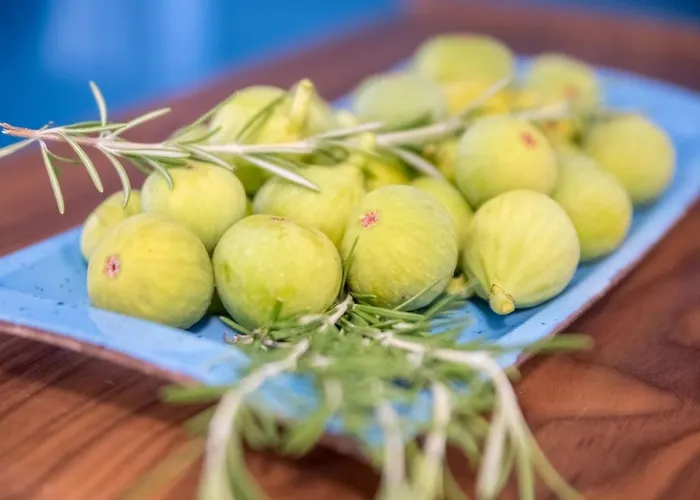 Tarari Luxury * باشْكا