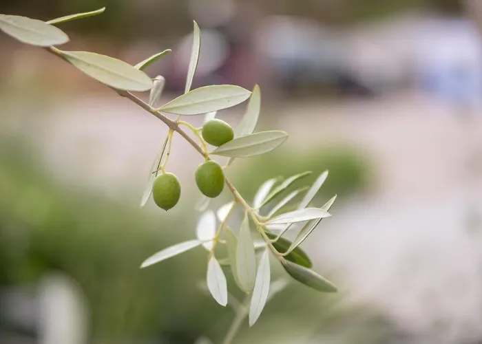 شقة Tarari Luxury